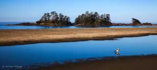 Chesterman Beach, Tofino-7703